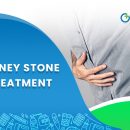 Kidney Stone Treatment – Three Easy Ways to Get Rid of Kidney Stones