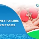 Kidney Failure: Symptoms & Causes