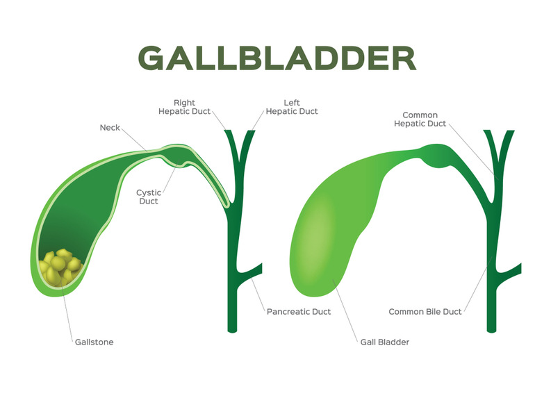 What is Gallbladder