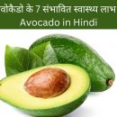 एवोकैडो के 7 संभावित स्वास्थ्य लाभ – Avocado in Hindi