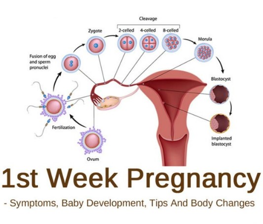First Week Pregnancy Symptoms in Hindi