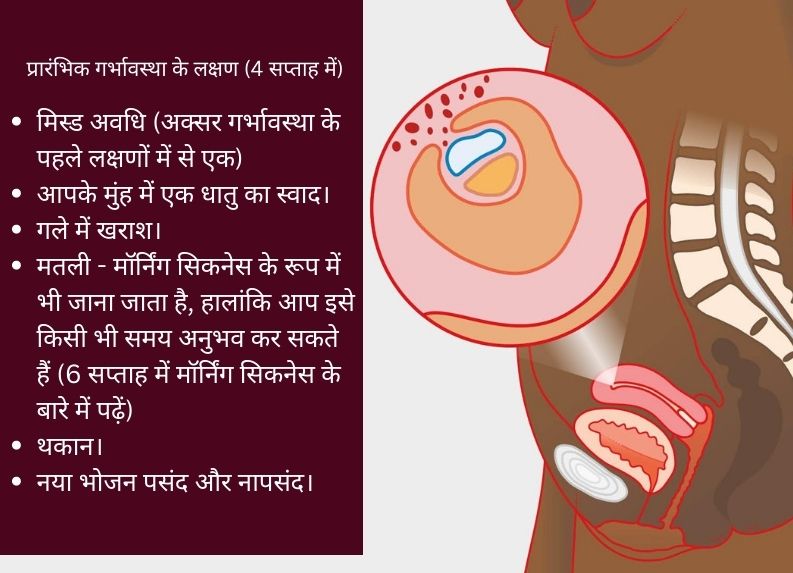 Four Week Pregnancy Symptoms in Hindi